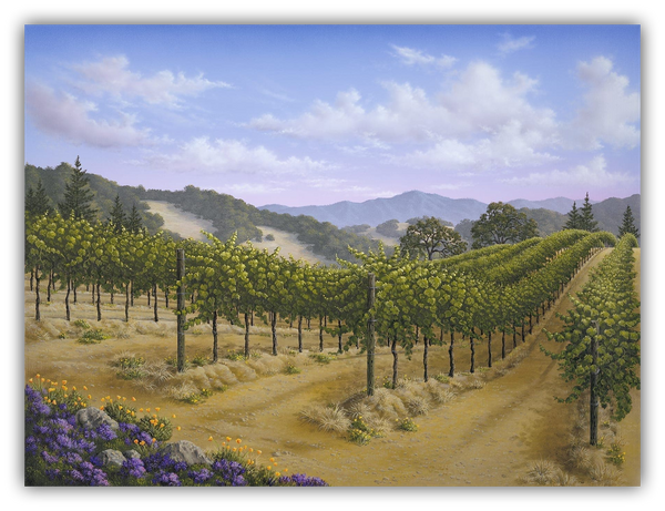 Spring Vista by Patrick O'Rourke