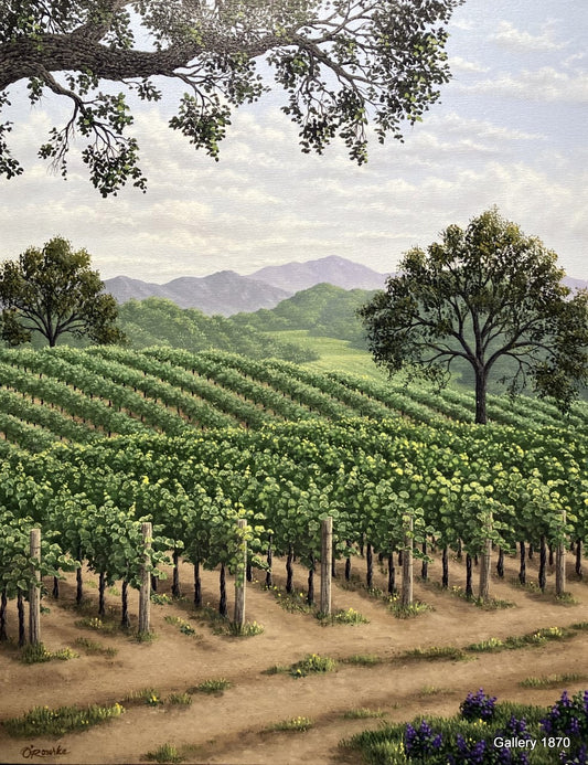 Springtime in Napa Hills by Patrick O'Rourke