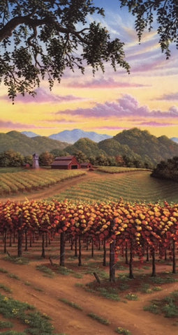 St Helena Vineyard - Limited Edition