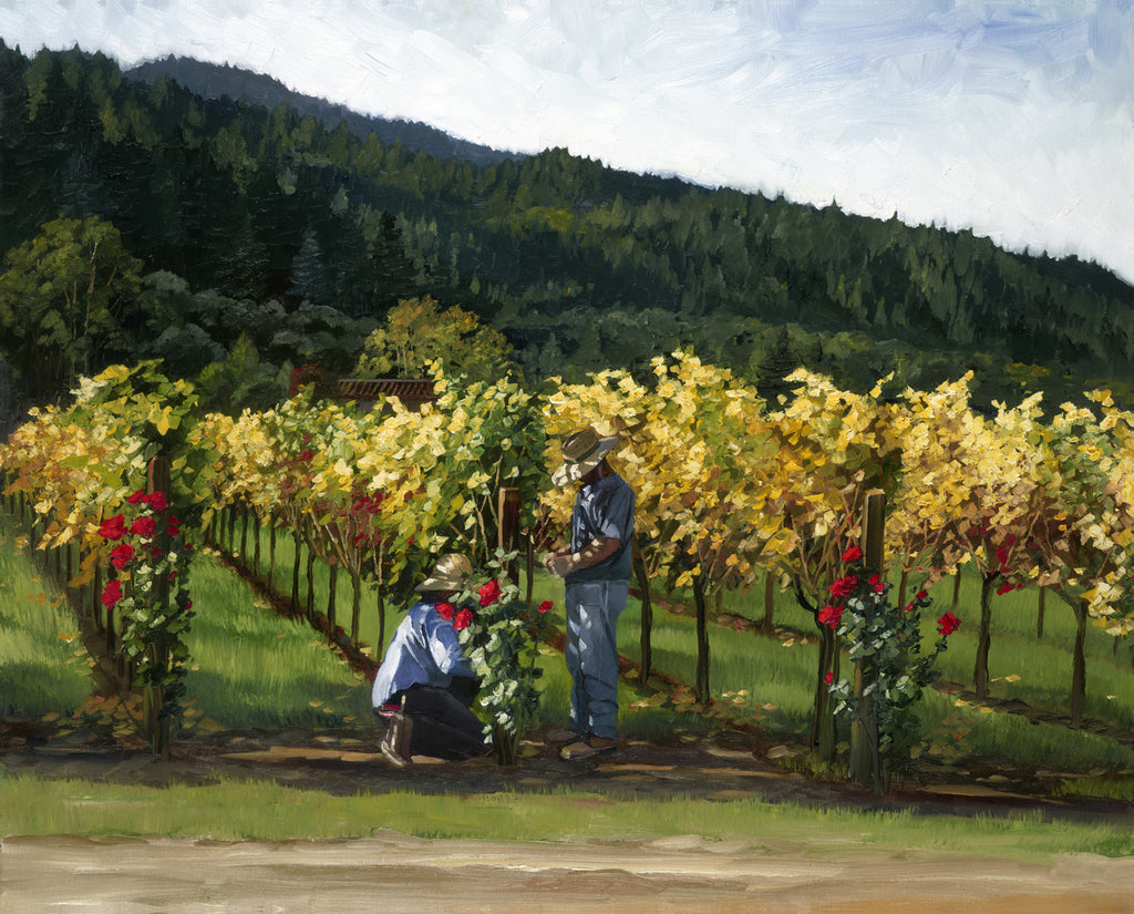 Tending the Vines - canvas print