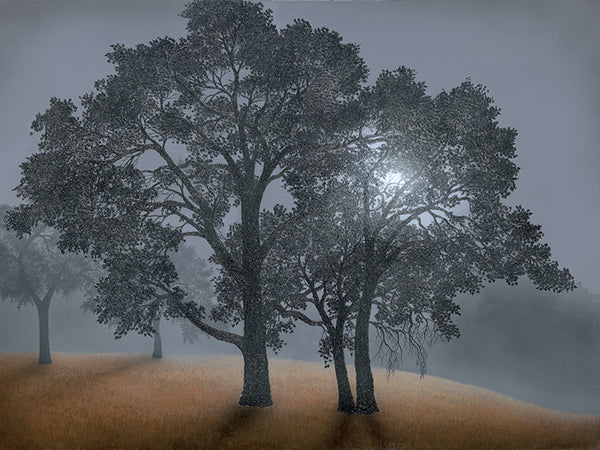 Veiled in Summer Mist by Patrick O'Rourke