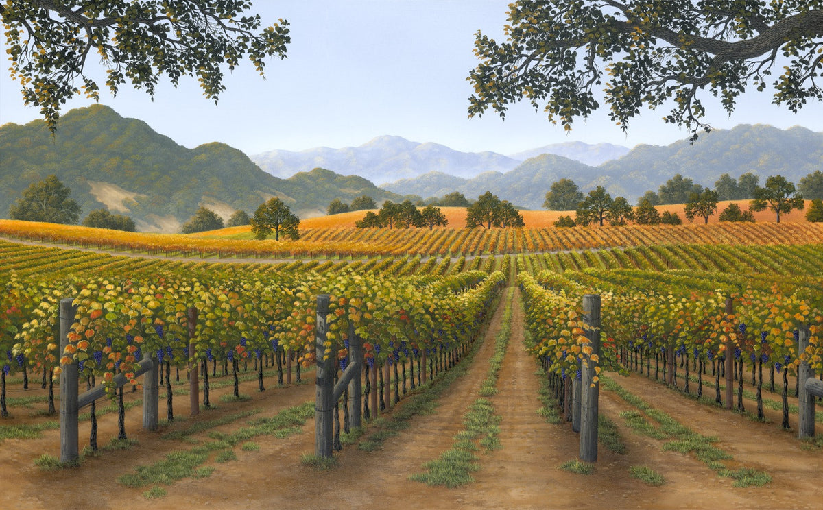 Vintage Color by Patrick O'Rourke – Gallery 1870