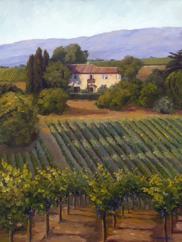 Wine Country Villa