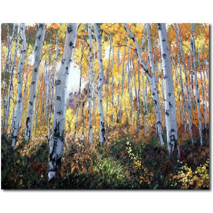 Golden Morning limited edition giclée on canvas by Jennifer Vranes featuring sunlight streaming through tall white aspens with golden autumn leaves and a forest floor in shadow.