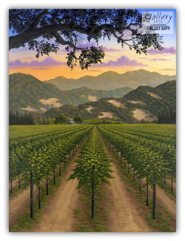 Napa Valley Vineyard by Patrick O'Rourke