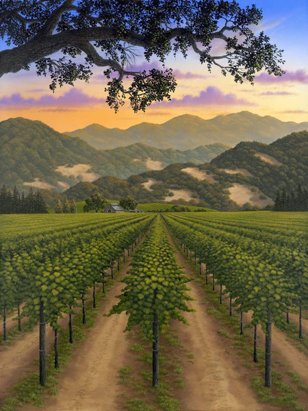 Napa Valley Vineyard by Patrick O'Rourke