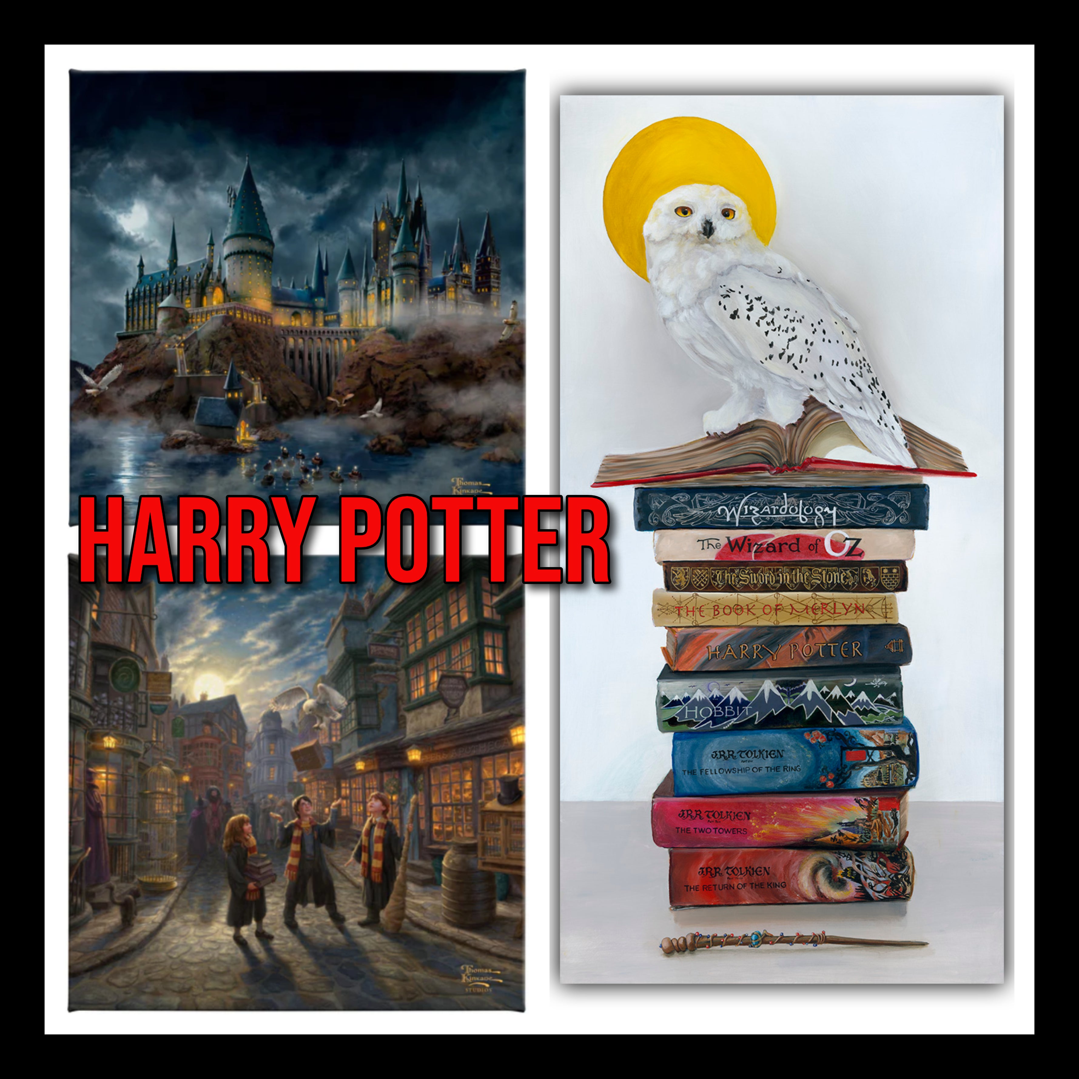Harry Potter Fine Art Collection